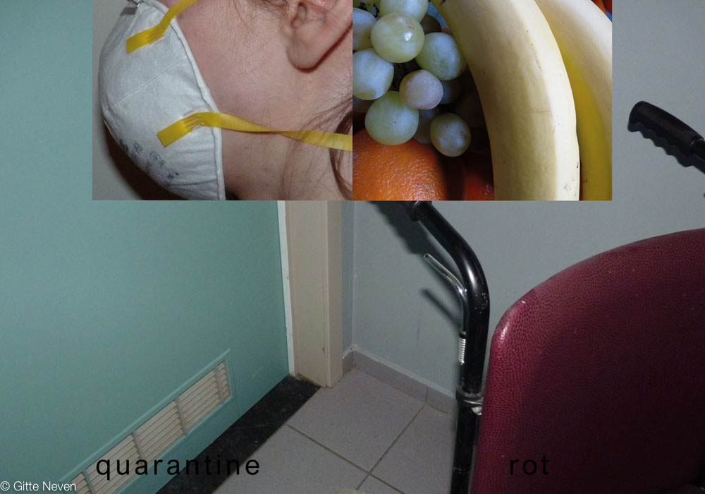 quarantine-rot